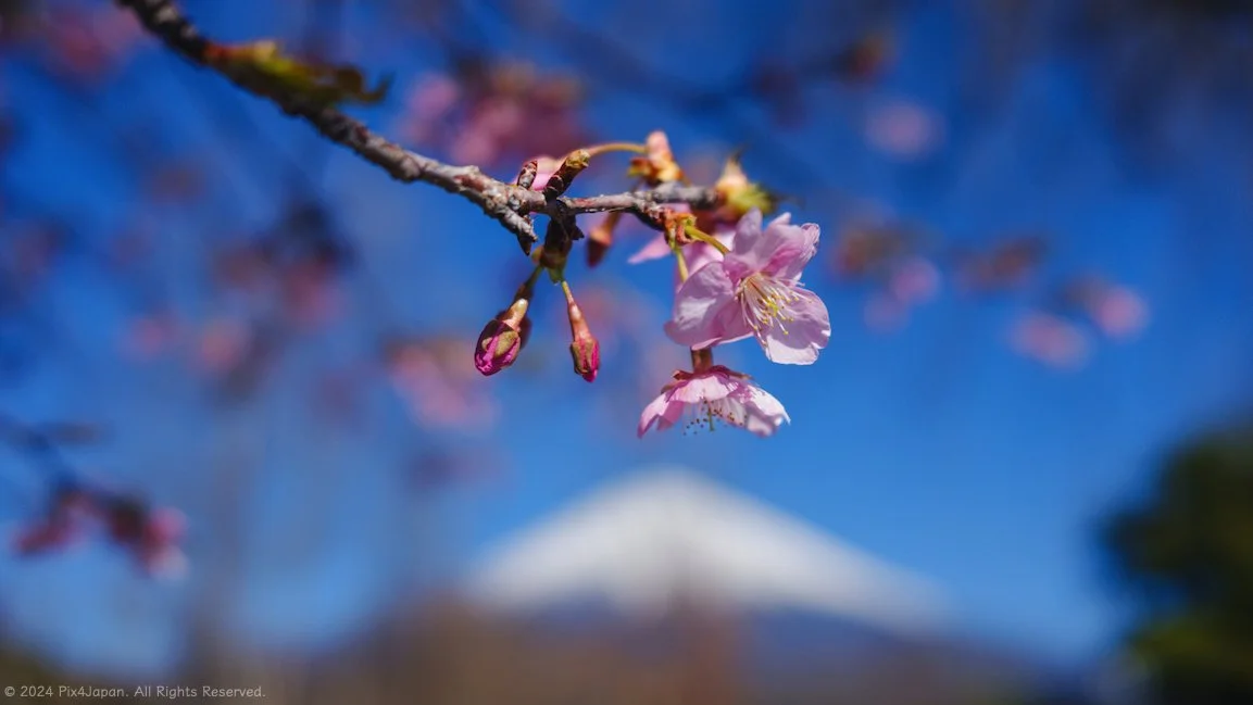 Landscape Photography | Discover Stunning Landscapes Today — Pix4Japan